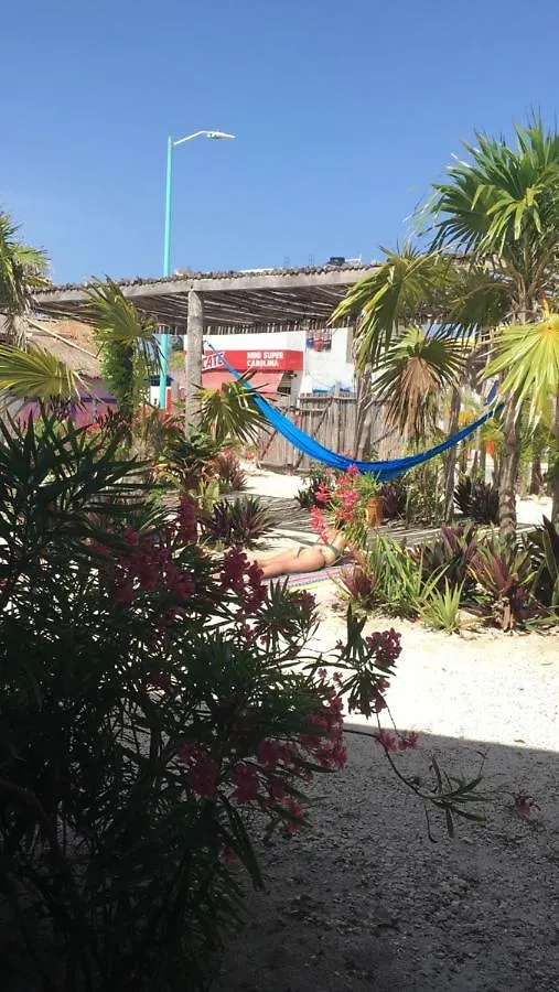 El Manglar Mahahual Hotel 0*,  Mexikó